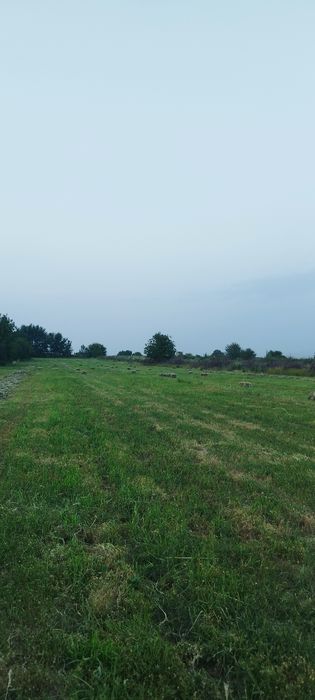 Поле Участо  2га