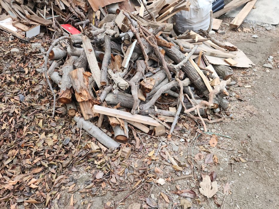 Утин вевали дарахтники