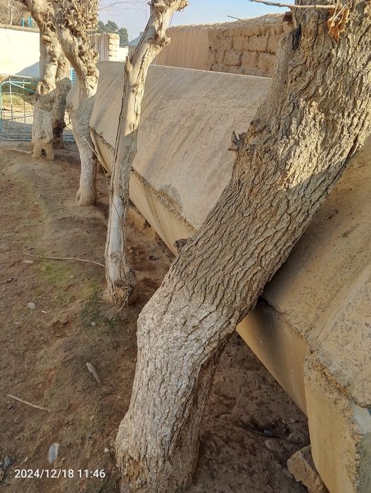 Latok sotiladi narxi 2 mln