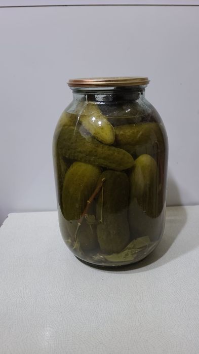 Продаются огурцы солёные