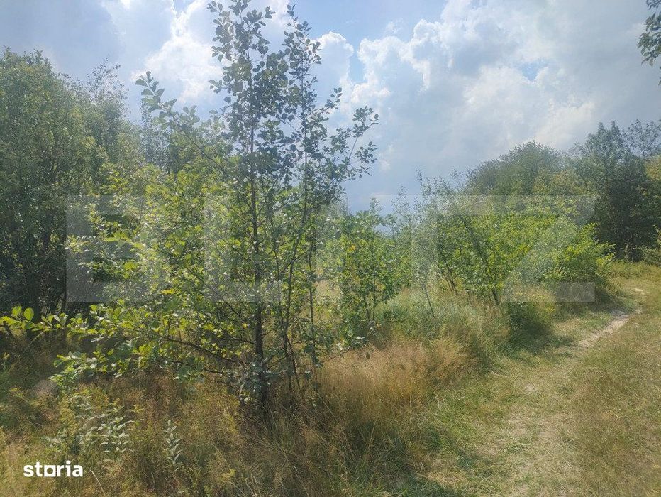 Teren intravilan, 5857 mp, Baltati, Horodnicu de Sus