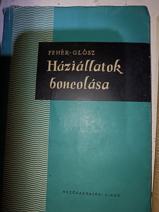 Diverse cărți în limba maghiara