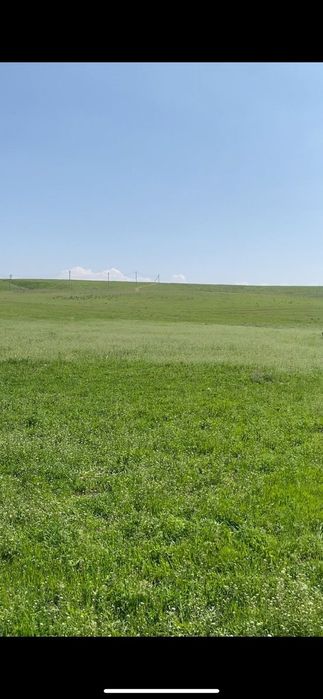Участок 6 гектар