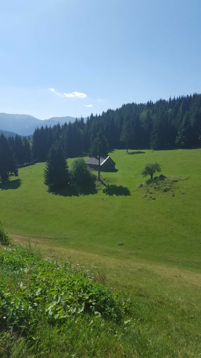 Teren de vanzare