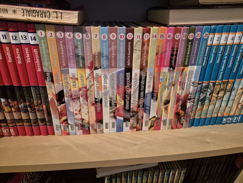 Delicii in bucatarie set de 21 carti