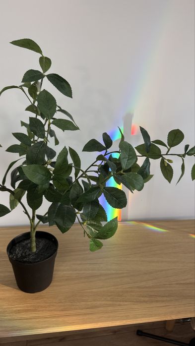 Planta artificiala Fejka Ikea