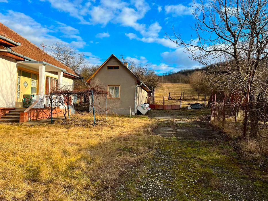 Casa de vanzare