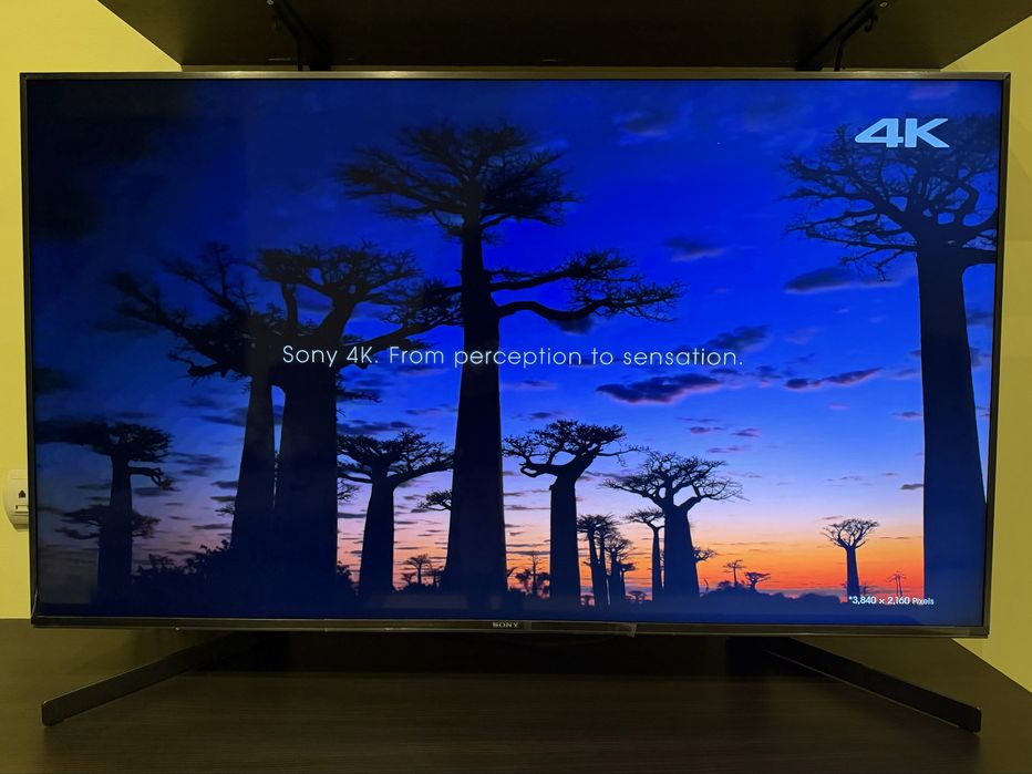 Sony KD-49XH9505  49inch/123,2см