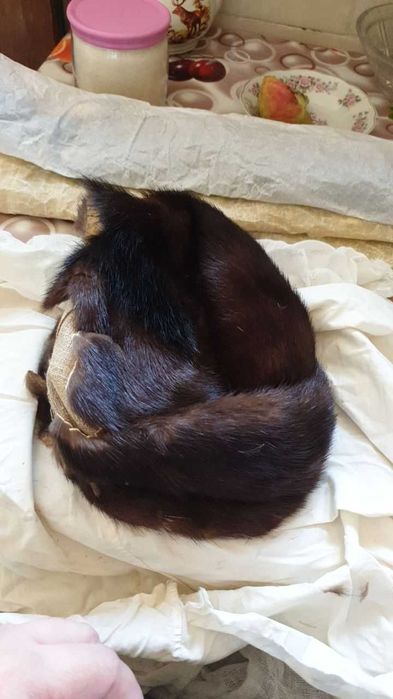 Шапка из песца и соболя. И шкурки соболя.