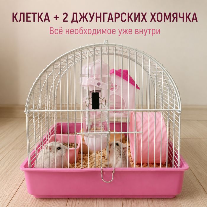 2 белых джунгарских хомяка + клетка, домик, колесо, поилка