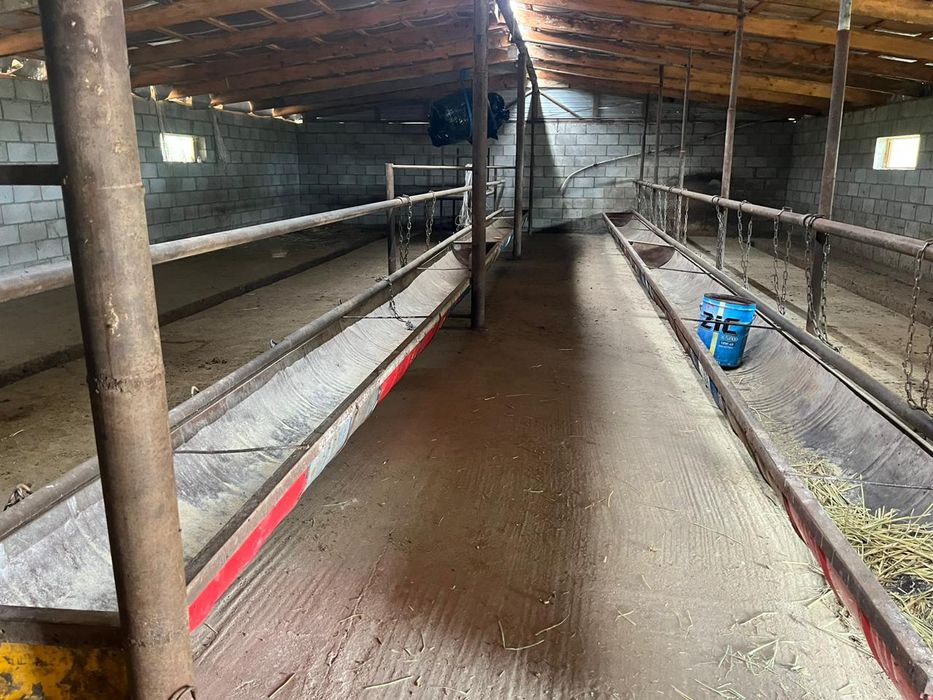 продам   дом  фазенда.