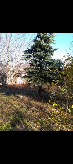 Продава се Земеделски имот в Кнежа -  кв.м за 3825 €/дка - Снимка #4