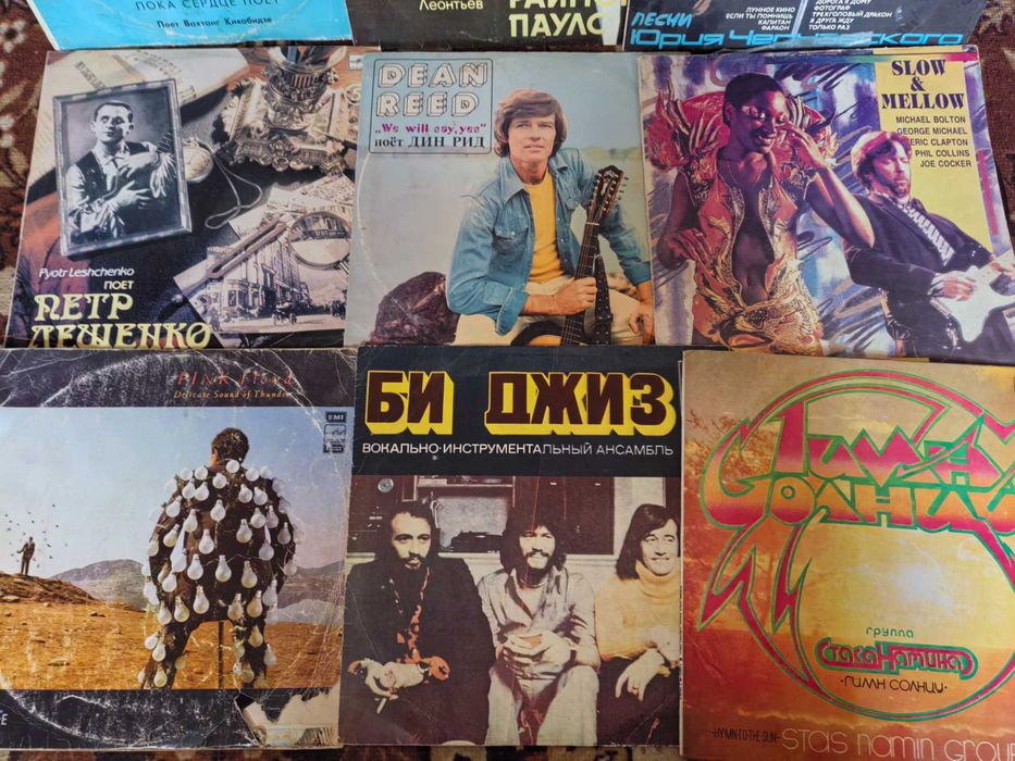 Виниловые пластинки.