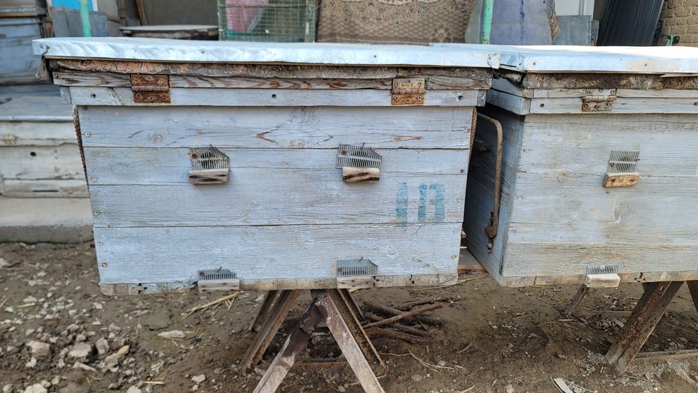 Асалари яшиклари ва ромлари