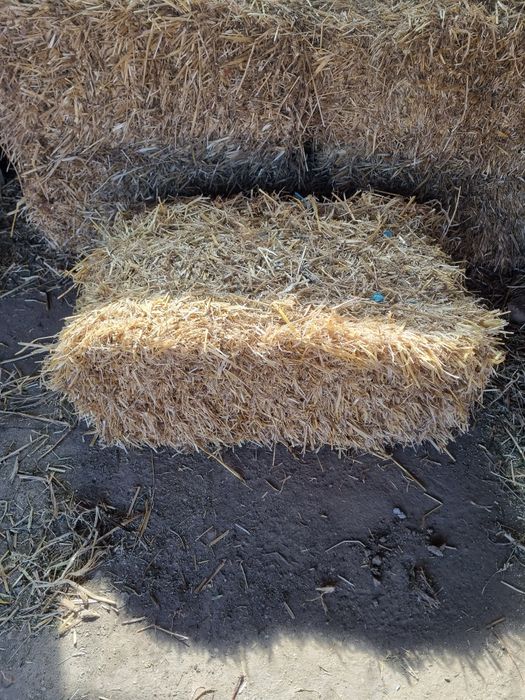 Vând baloti de paie