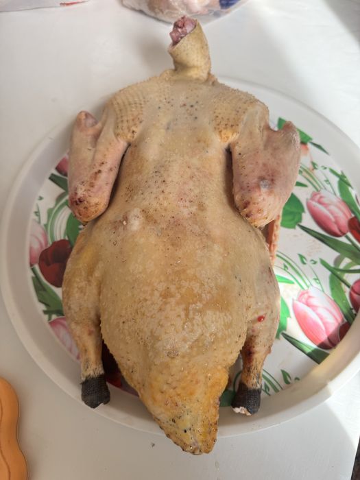 Мясо домашней утки