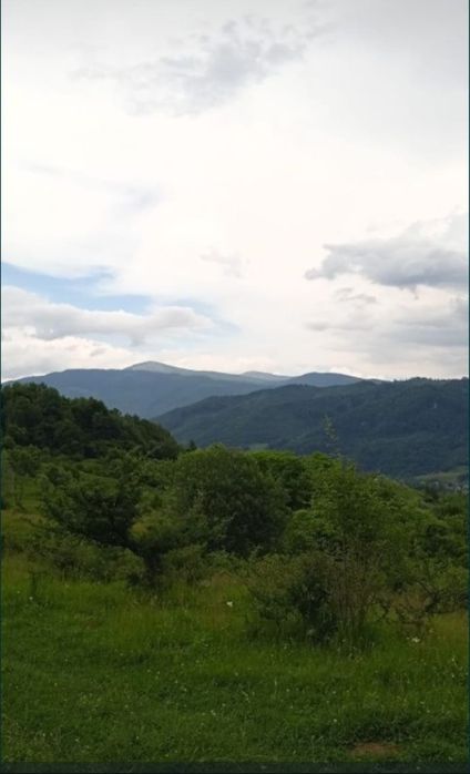 Teren poiană in zonă foarte retrasă