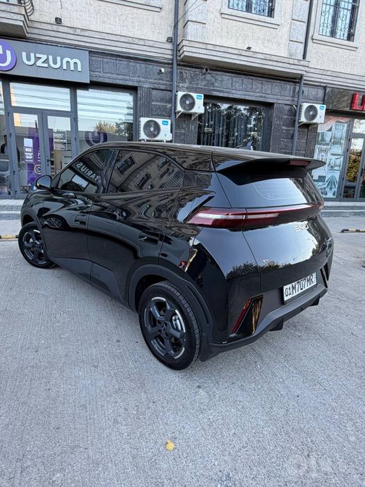 BYD Seagull 2025 yil toza afisalniy