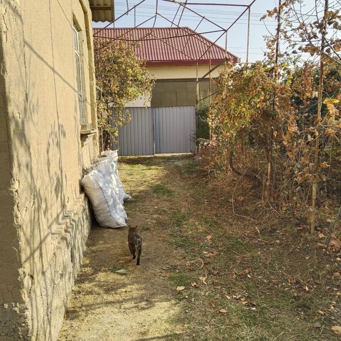 Продаётся дача Паркентский район СВТ Авиастроитель