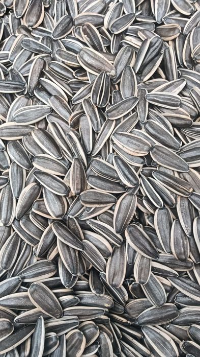 Продам семечки полосатые