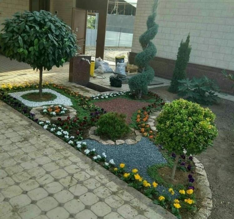 Gazon Ekamiz Narxi 35000min som