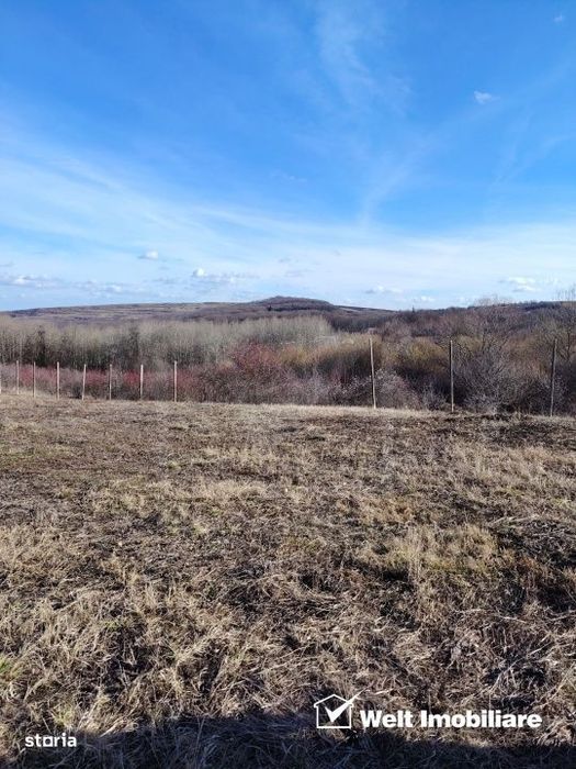 Teren cu potential turistic in RAMET/ALBA