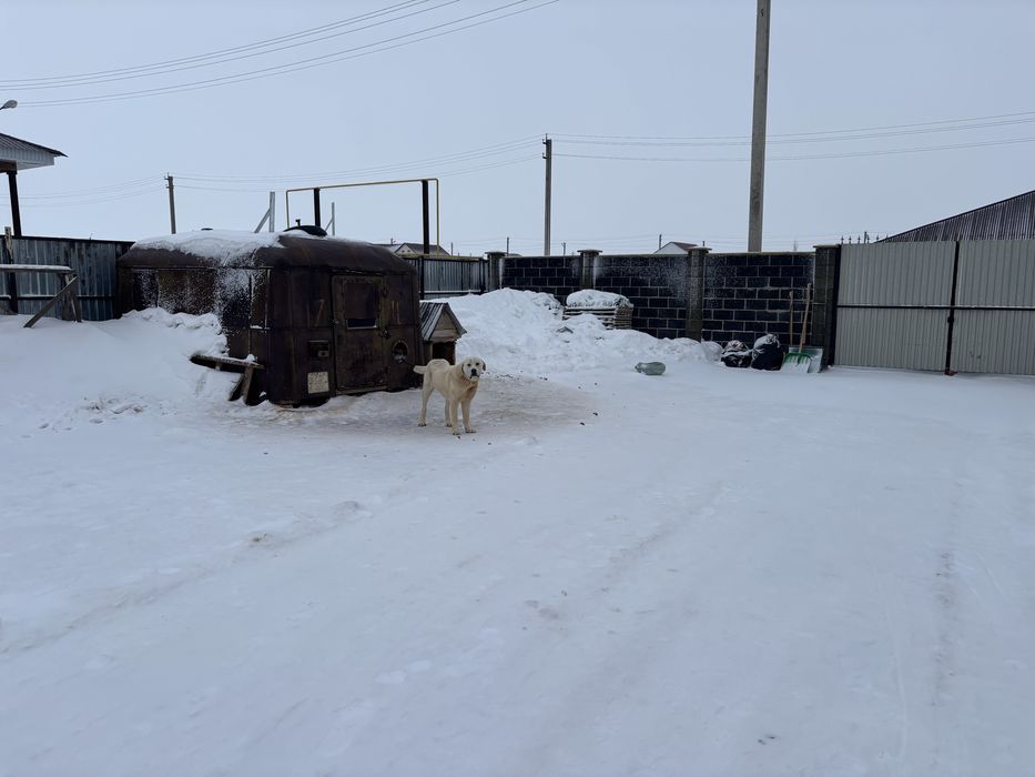 Уй сатылады Акшат 2