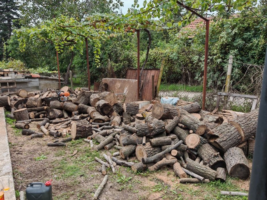 Рязане на дърва 12лв кубик