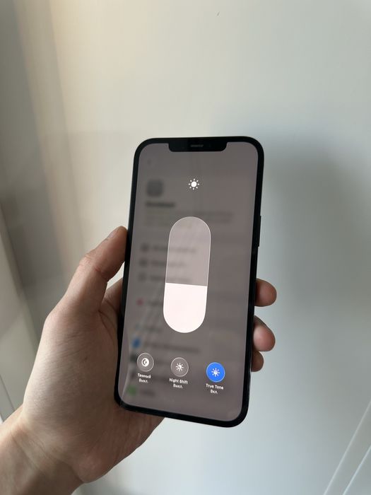Iphone 12 pro max (256 gb)