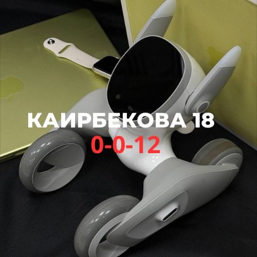 PetBot LOONA | BaiTime