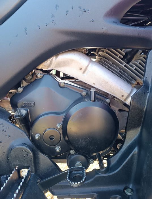 Suzuki ozark 250 2008
