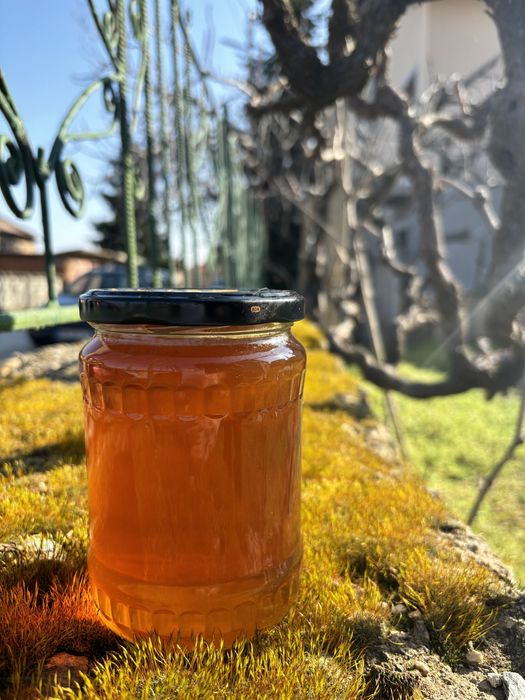 Натурален домашен пчелен и манов мед – директно от пчелар