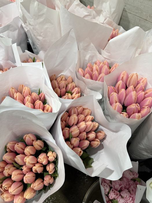 Lolo Тюльпаны оптом