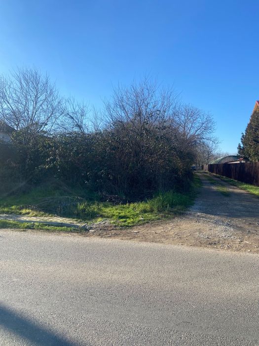 Teren intravilan Baicoi / La strada