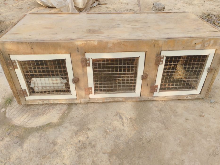 Quyon ini / Клетка для кроликов