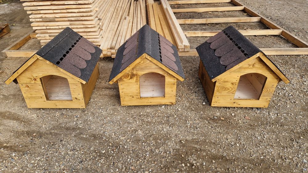 cotețe cățeluși și pisicuțe