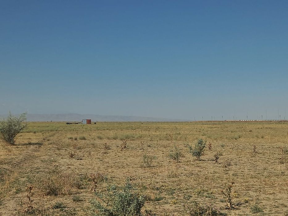 5 гектаров земли рядом аэропорта