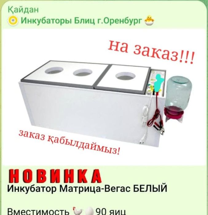Блиц Инкубаторлар сатылады