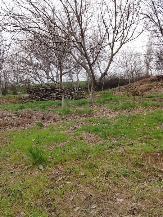 Yer sotiladi srochno