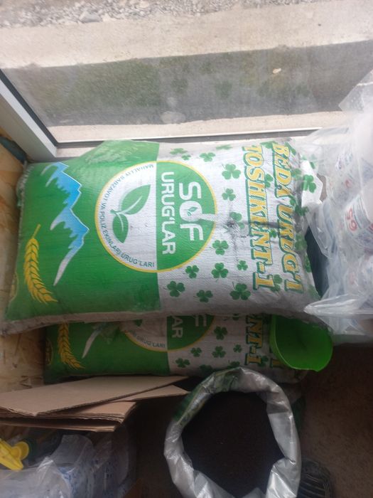 Жоңышқа ұрық бар