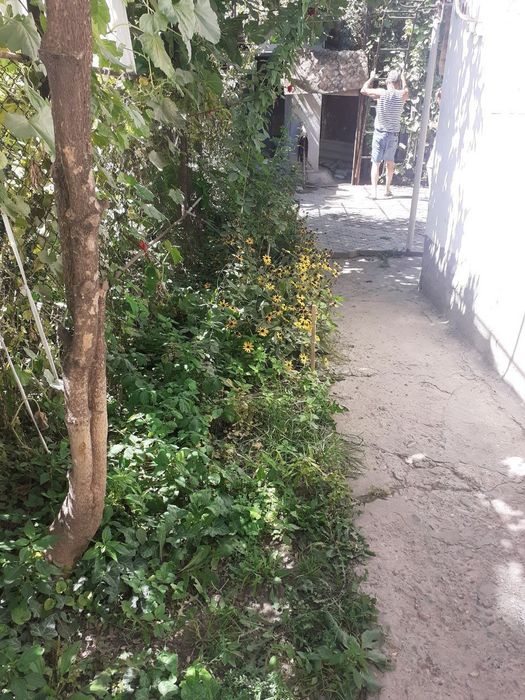 Продаётся участок 379 соток отличное местоположения для бизнеса