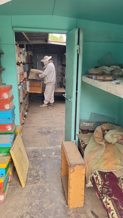 Прицеп пчеловодный вогончик