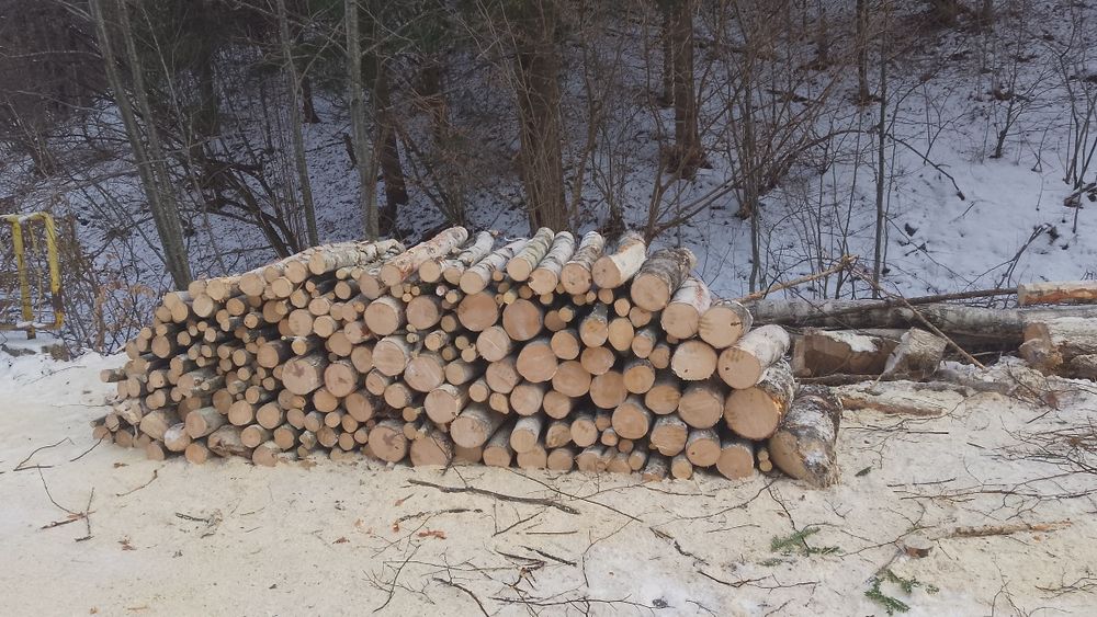 Lemn de foc esență tare