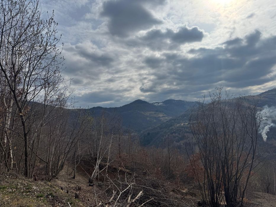 Teren Muntele Rece, ideal pentru cabana, zonă frumoasă, acces ușor