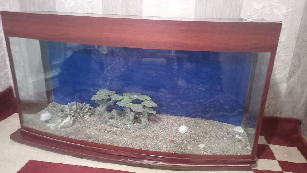 Продается срочно Аквариум