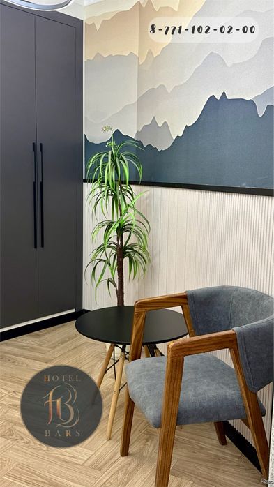 Гостиница Барс ночь/сутки