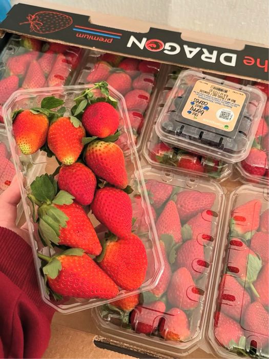 Клубника в шоколаде