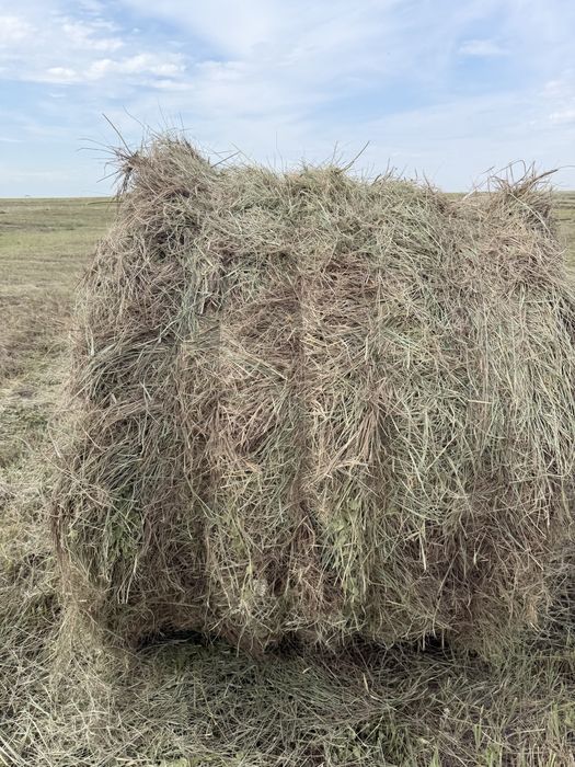 Сено в рулонах. Шөп