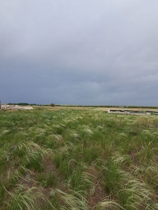 Земельный участок