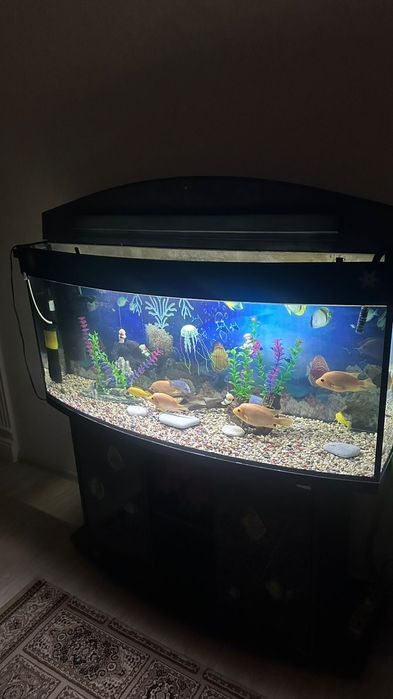 Аквариум 200 литрок